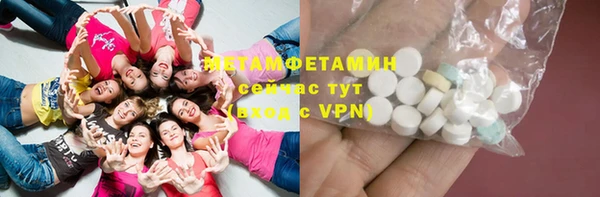 шишки Богородицк