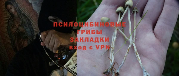 эйфоретик Белоозёрский
