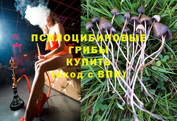наркотики Богданович