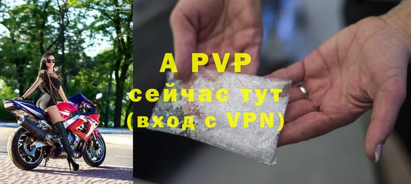 спиды Богородск
