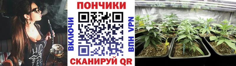 Бошки Шишки конопля Воронеж
